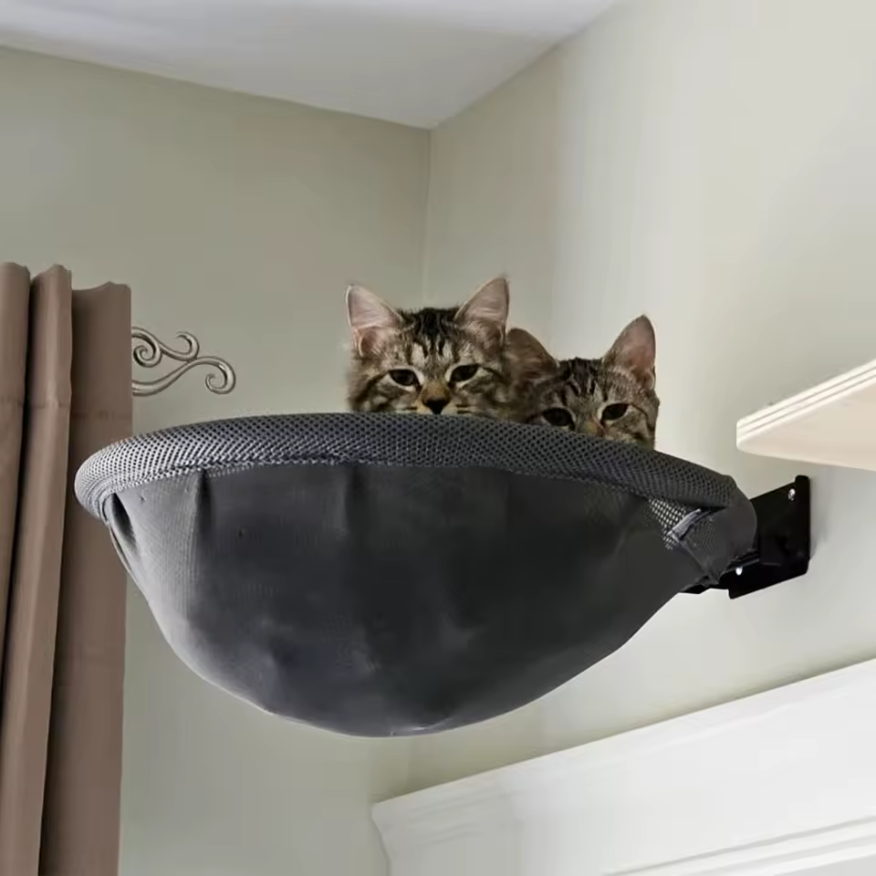 Wall Mounted Cat Hammock