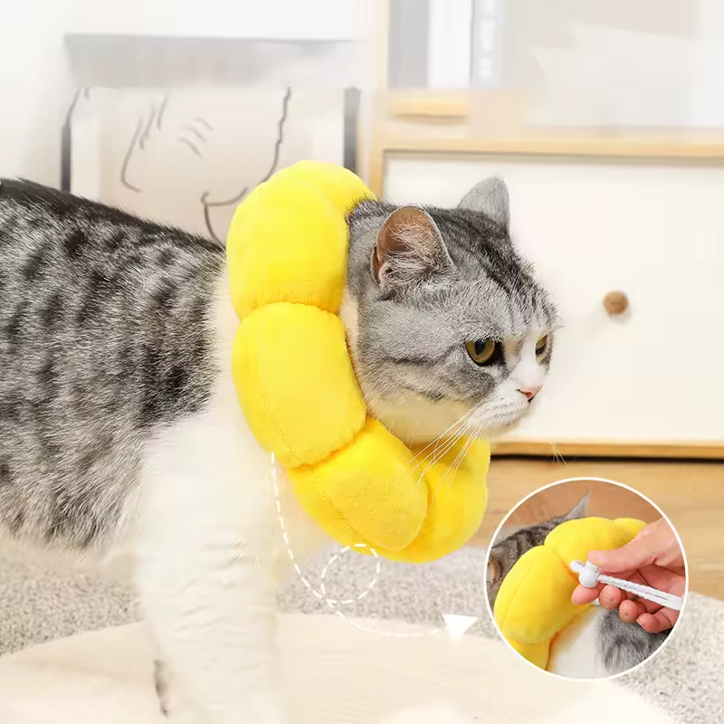 Sunflower Recovery Pet Collar