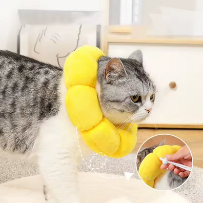 Sunflower Recovery Pet Collar