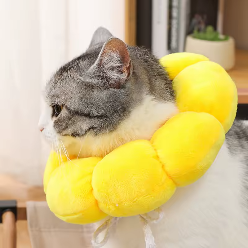 Sunflower Recovery Pet Collar