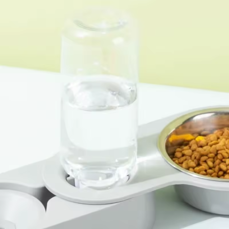 2-in-1 Pet Feeding Bowl