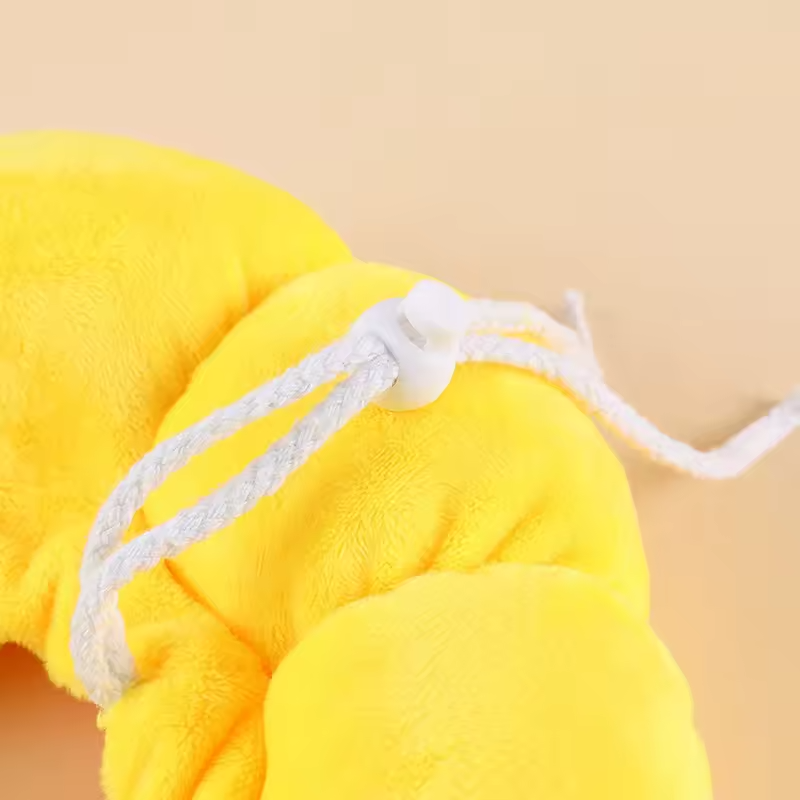 Sunflower Recovery Pet Collar