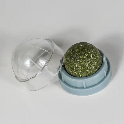 Catnip Wall Ball Toy