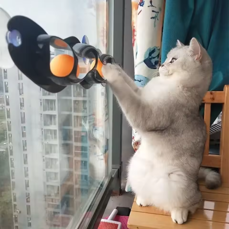 Suction Cup Cat Track Toy